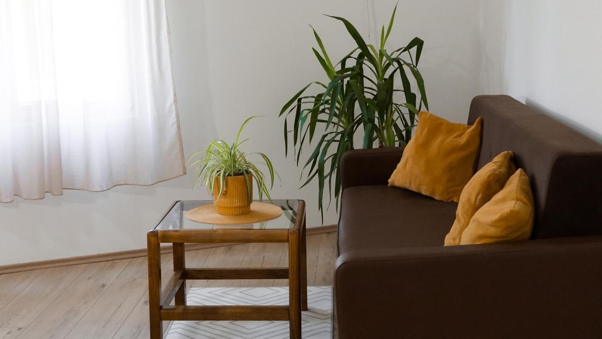 Apartmani Bubamara Leskovac Leskovac  Luaran gambar