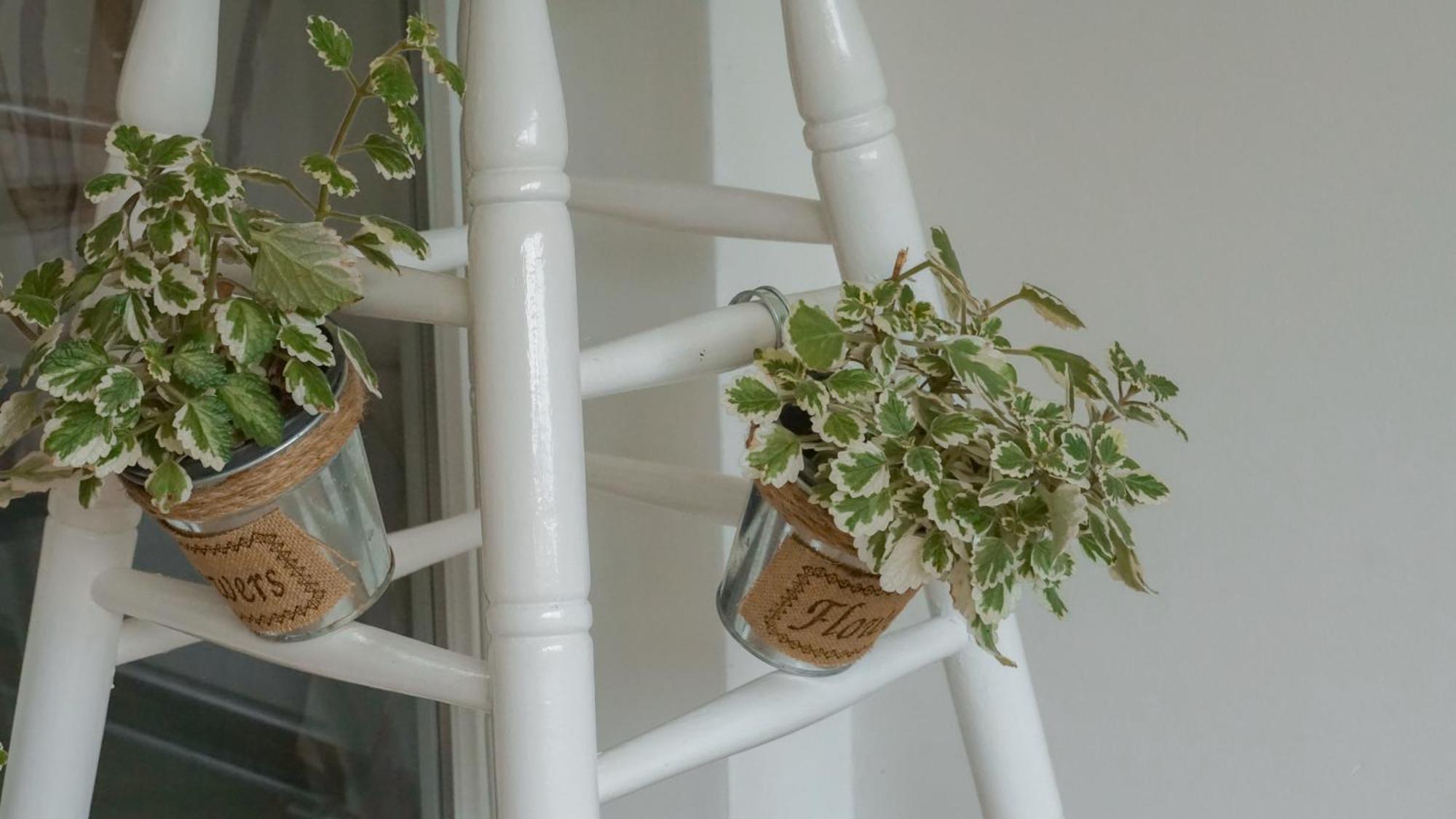 Apartmani Bubamara Leskovac Leskovac  Luaran gambar